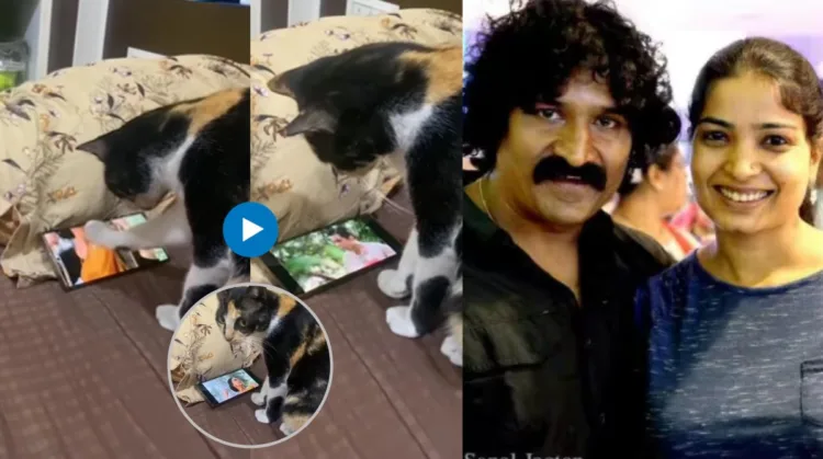 snehal tarade share a video of her cat