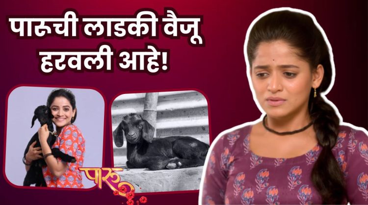 Paaru marathi serial Vaiju is missing post viral on social media