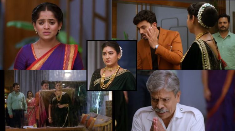 Paaru Serial Update
