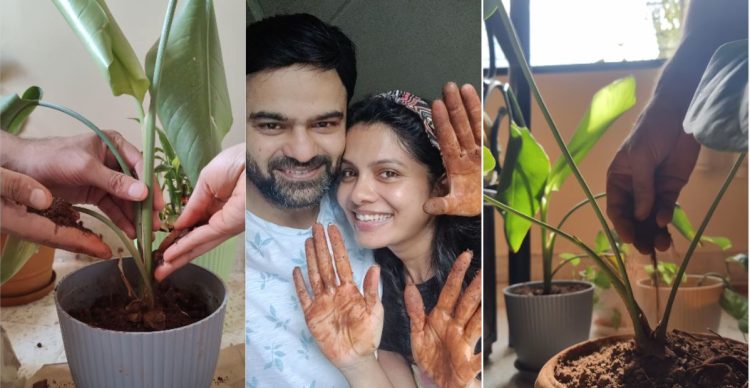 suruchi adarkar and piyush ranade home garden