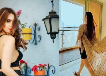 krystle d'souza on television industry