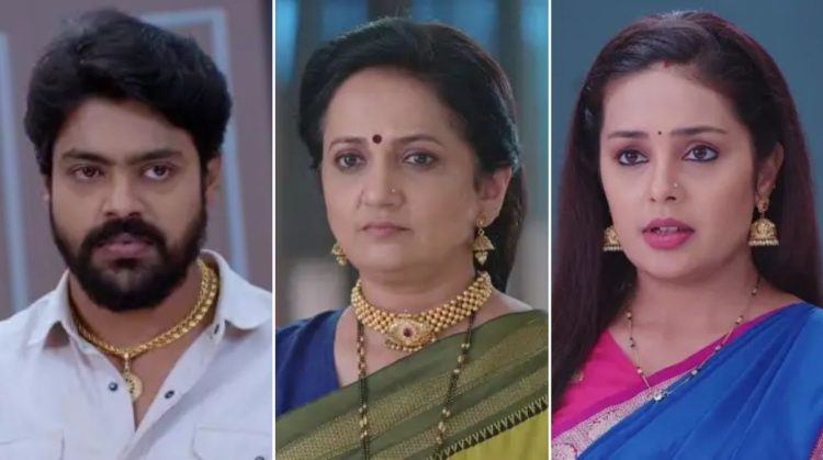 Tula Shikvin Changalach Dhada Marathi serial netizens expressed their displeasurement by commenting on the new twist