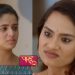 Paaru Marathi Serial Update