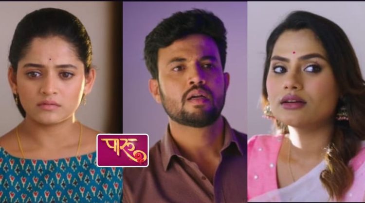Paaru Marathi Serial Update