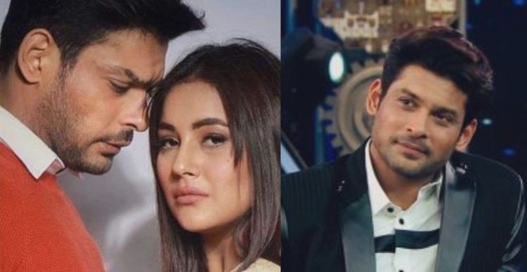 shehnaaz gill on siddharth shukla