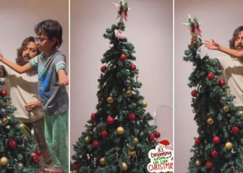 actor Riteish Deshmukh decorating the Christmas tree with his two sons wife Genelia shared a video