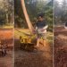 Abhijeet Chavan farming video