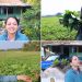 Satvya Mulichi Satavi Mulgi serial fame Actress Shweta Mehandale shared special glimpse of her farming village in Kokan.