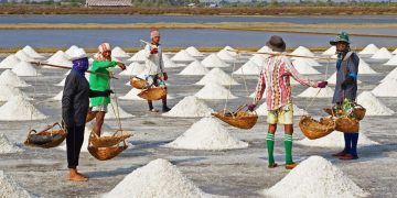 Salt Workers Life
