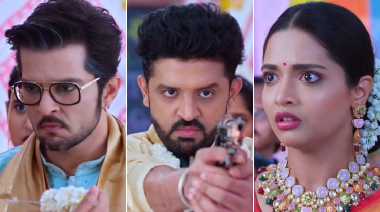 Navri Mile Hitlerla serial update