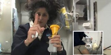 Astronauts Life In Space