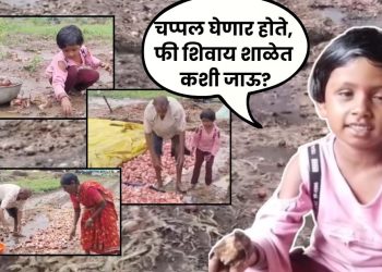 Beed Farmer News