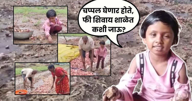 Beed Farmer News