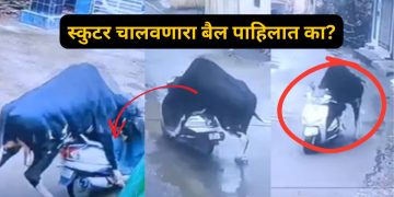 Viral Video