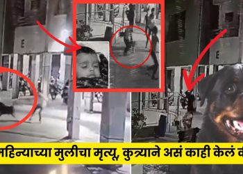 Ahmedabad Rotweiller Attack Viral Video