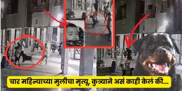 Ahmedabad Rotweiller Attack Viral Video