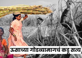 Beed Female Sugarcane Workers Women