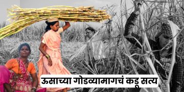 Beed Female Sugarcane Workers Women