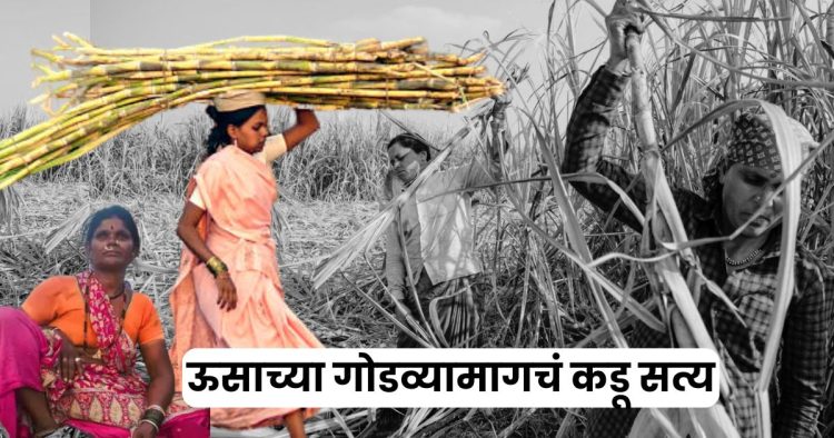 Beed Female Sugarcane Workers Women