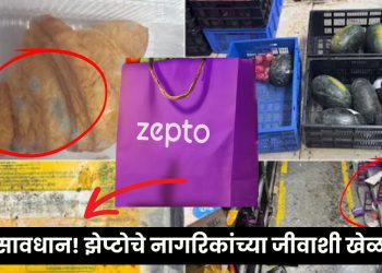 Zepto News