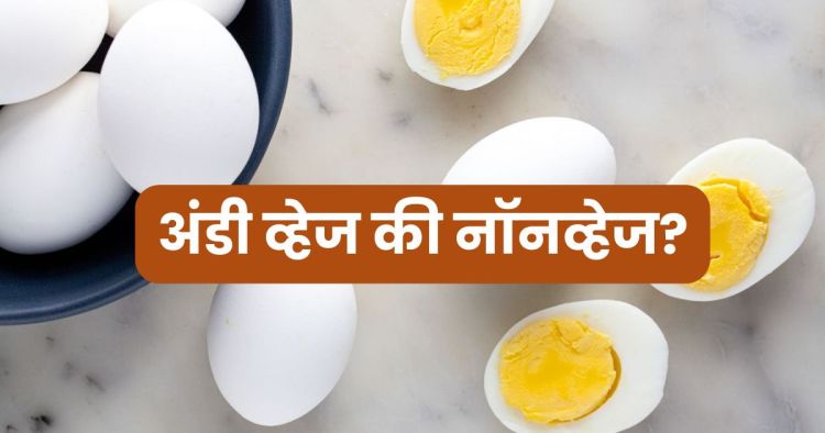 facts about egg