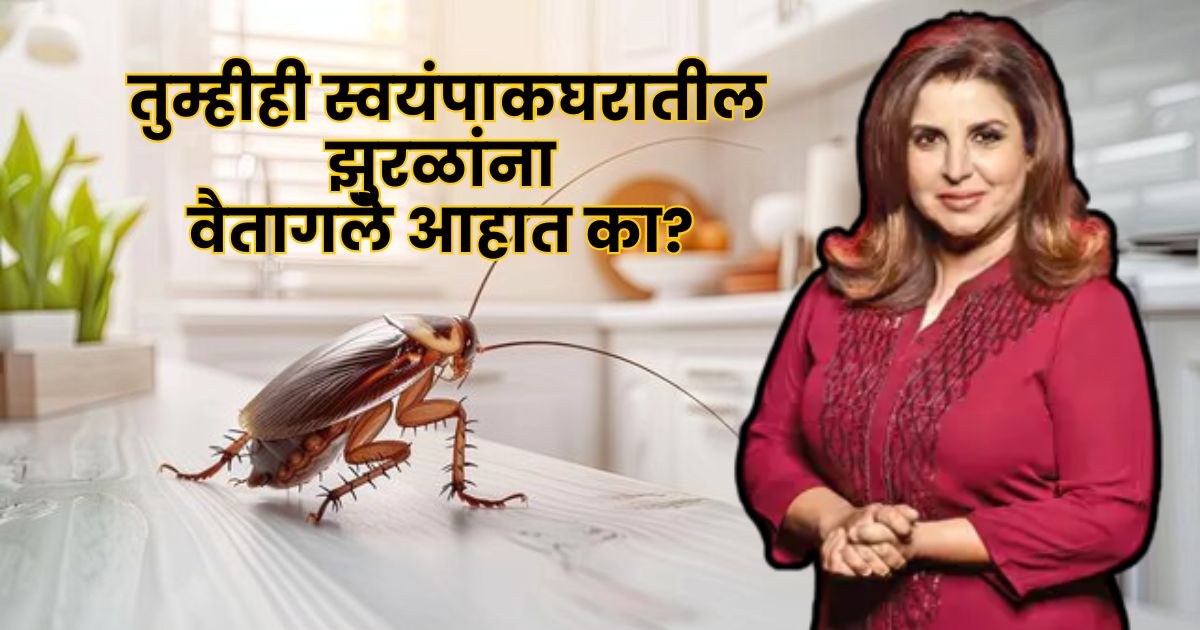 indian kitchen hygiene tips