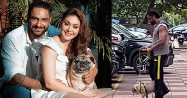 Paras Chhabra On Parag Tyagi Viral Video