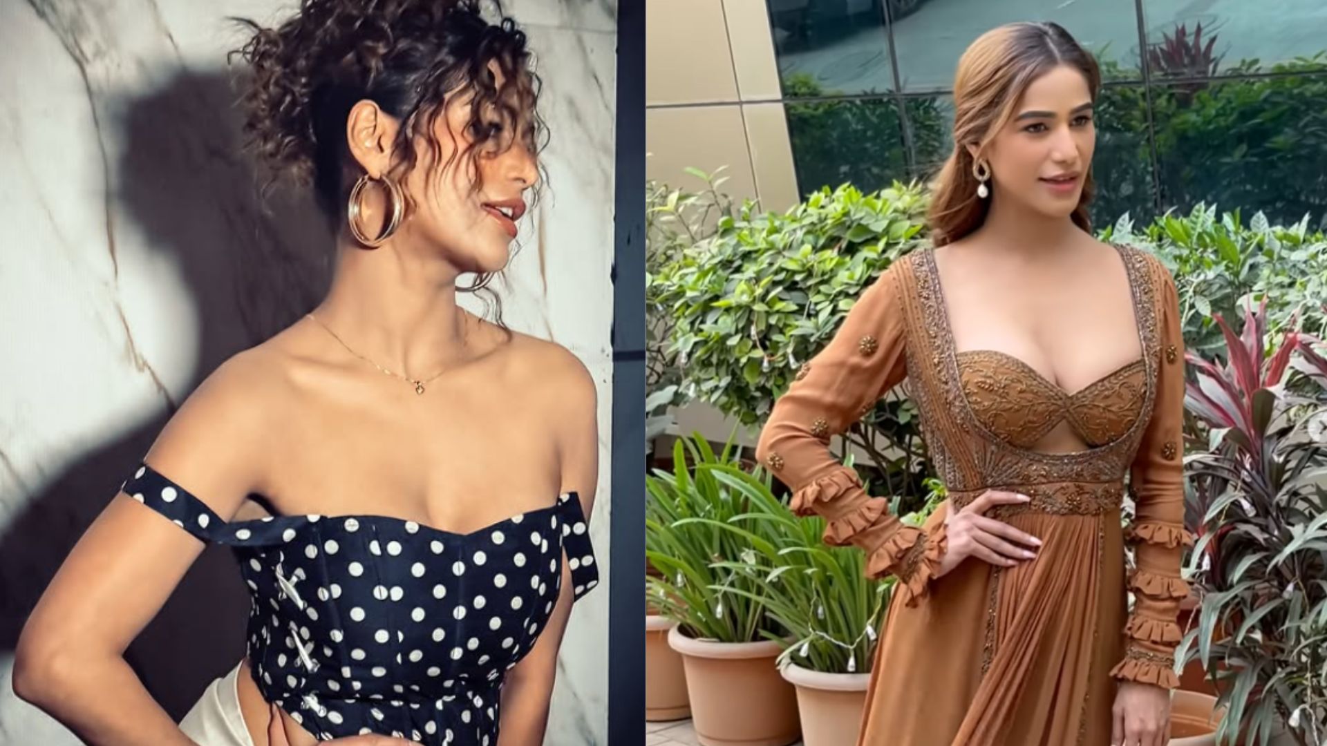 Poonam Pandey Controversy