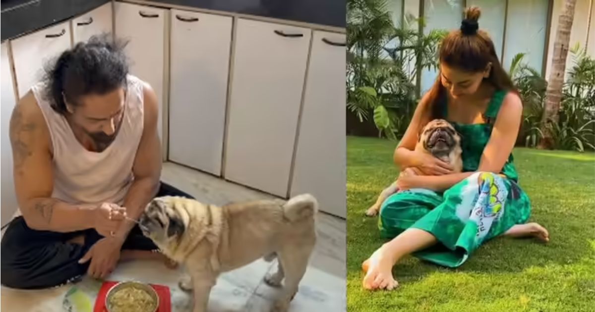 parag tyagi shares simba emotional video